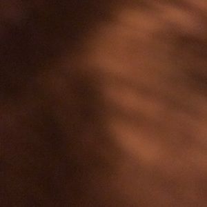 Meet your Posher, Stella